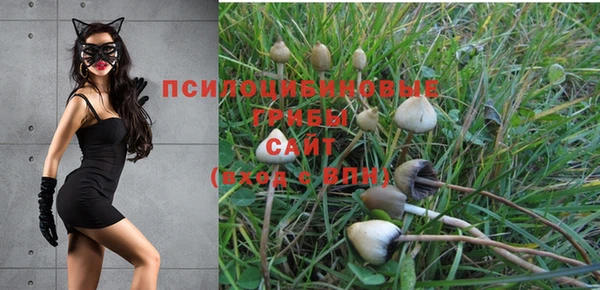 mdpv Балахна
