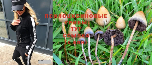 mdpv Балахна
