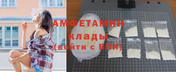 крисы Баксан