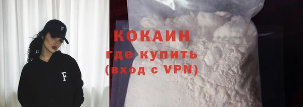 крисы Баксан