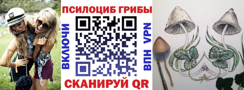 Псилоцибиновые грибы прущие грибы  МЕГА онион  даркнет наркотические препараты  Онега 